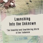 93489_163720_Launching front